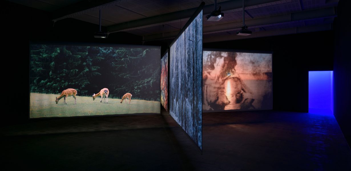 Christian Boltanski, ‘Les Disparus’, 2020, four-channel video installation, sound, continuous loop. Courtesy the artist and Marian Goodman Gallery, New York, Paris, London