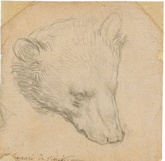 Leonardo da Vinci, Head of a bear, with inscription in pen and brown ink - Leonard de Vinci -Silverpoint on pink-beige prepared paper, top corners cut, cm 7X7