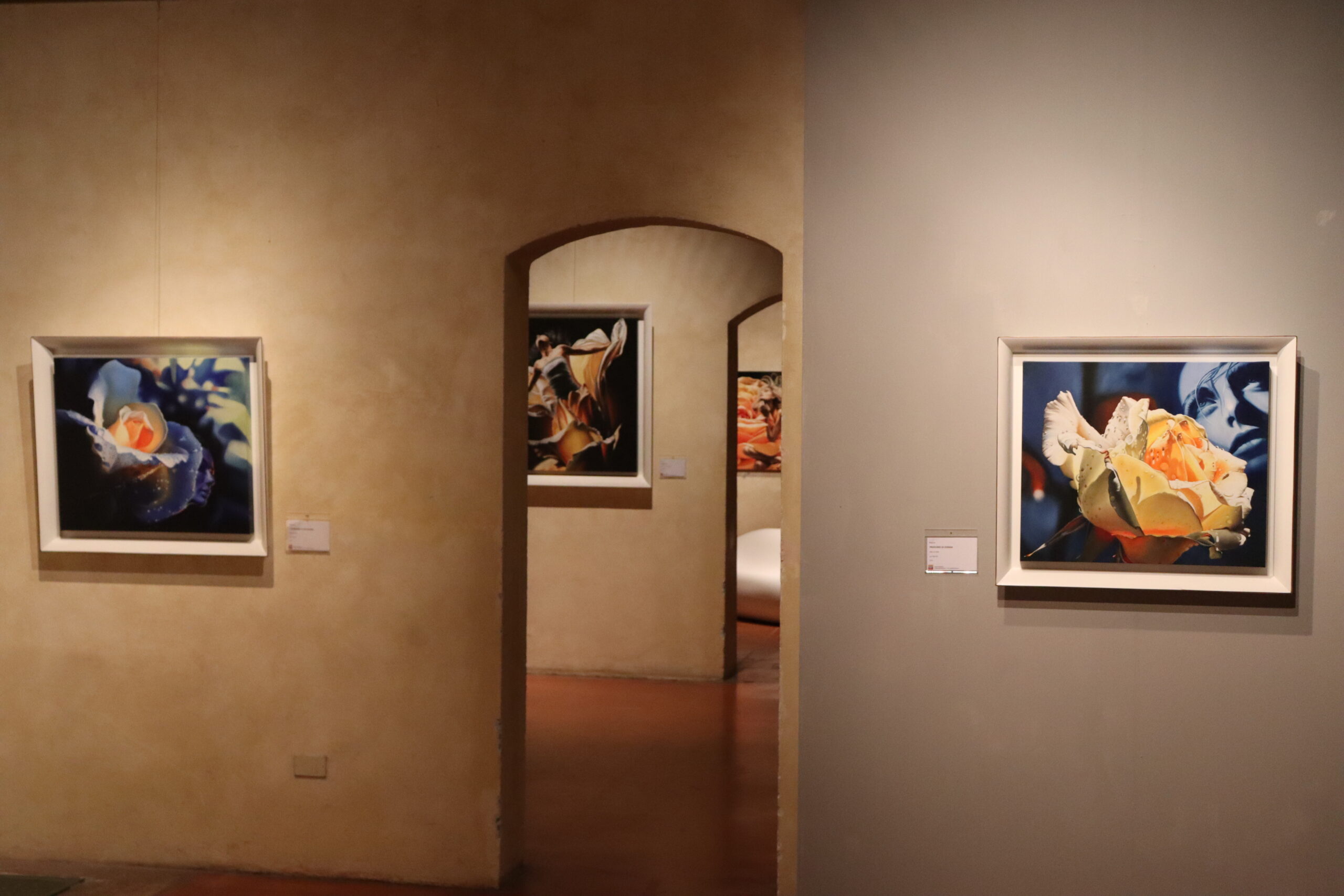 Maurizio Monti, Mantova, Casa del Mantegna a cura di, curated by Alain Chivilò