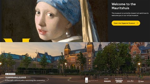 Mauritshuis and Rijksmuseum temporarily closed