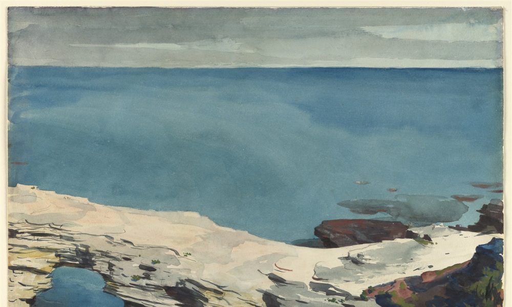 Winslow Homer in the Nature