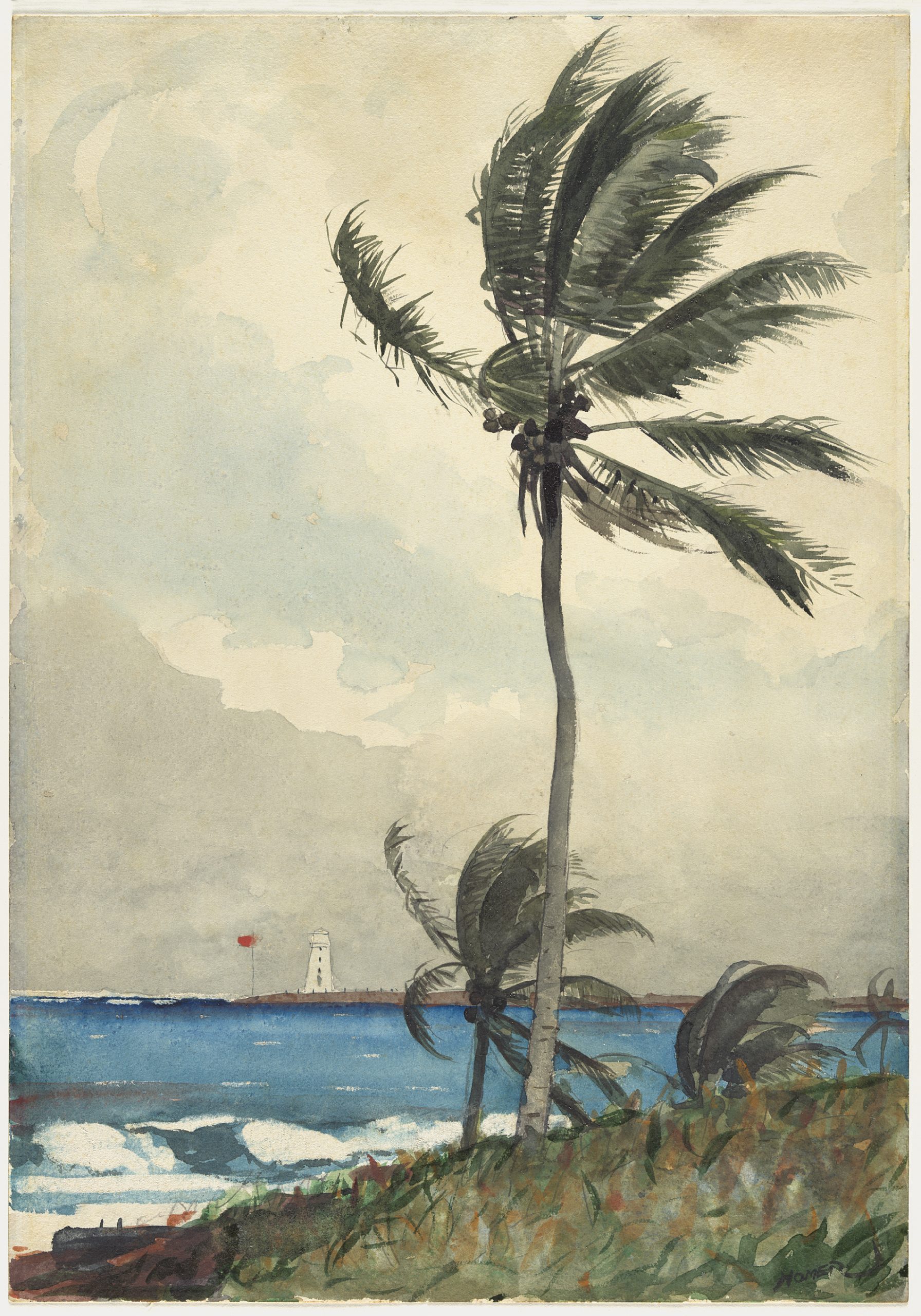 Winslow Homer Palm Tree, Nassau, 1898, Watercolour and graphite on off-white wove paper, 54.3 x 37.8 cm, The Metropolitan Museum of Art, New York
Amelia B. Lazarus Fund, 1910 10.228.6
© The Metropolitan Museum of Art, New York