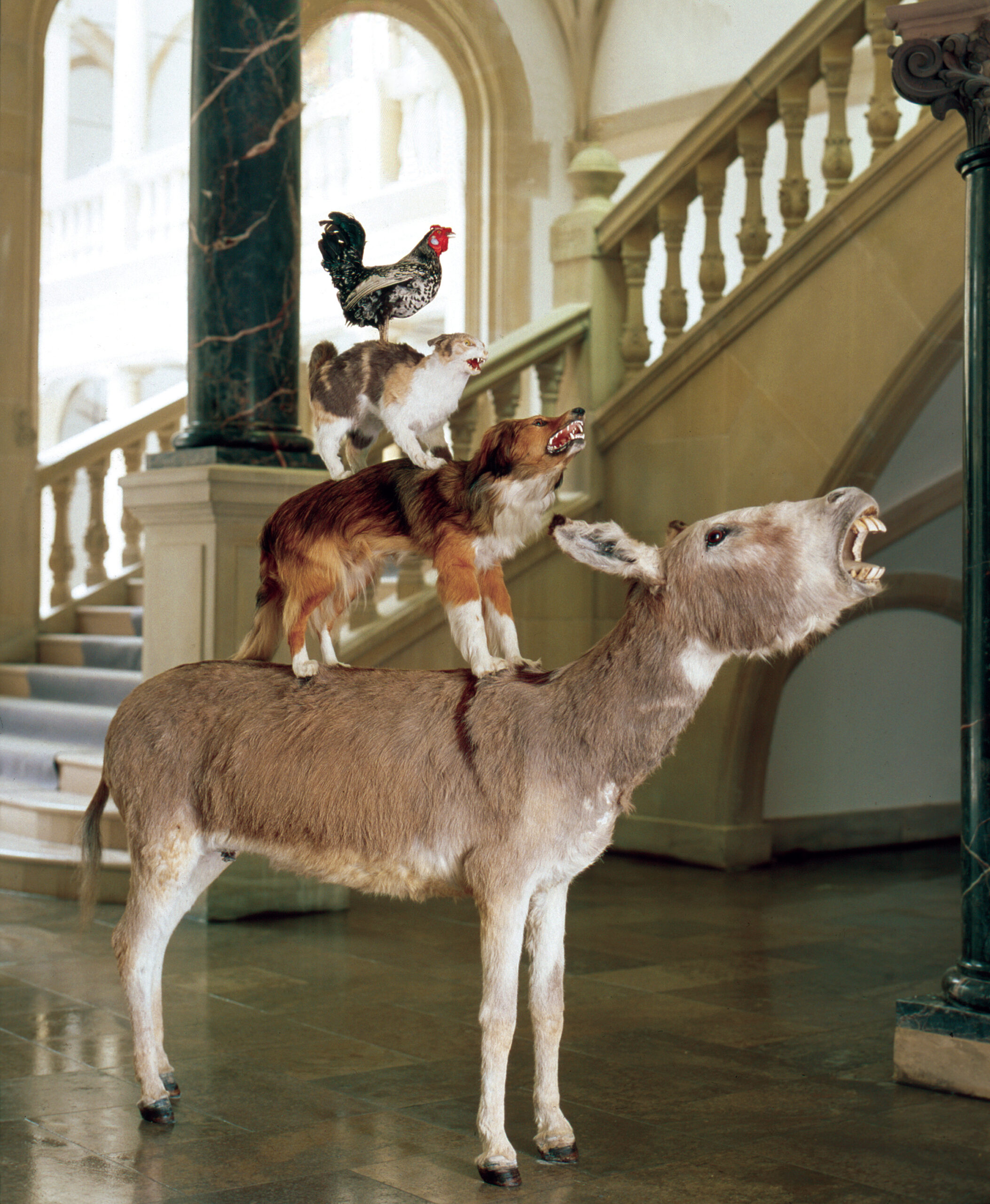 Maurizio Cattelan, Love Saves Life, 1995, Taxidermied donkey, dog, cat, rooster, 190 x 120 x 60 cm, Installation view, Skulptur