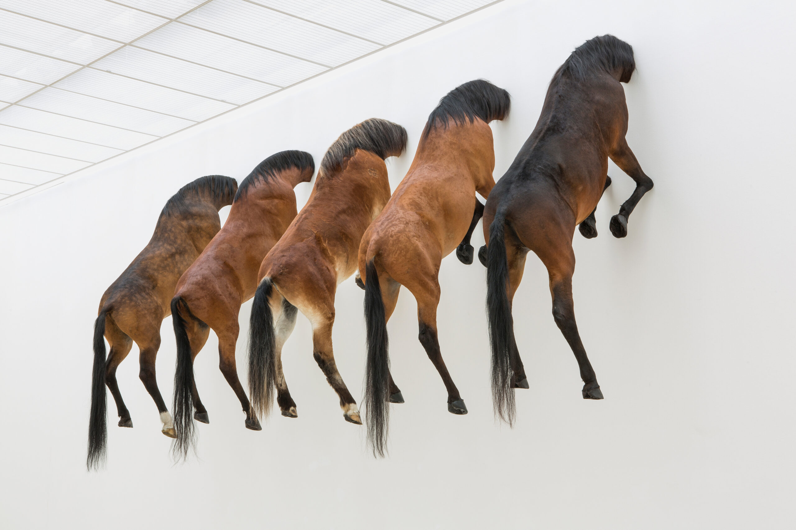 Maurizio Cattelan, Kaputt, 2013, Taxidermied horses, Variable dimensions, Installation view, Fondation Beyeler, Basel, 2013