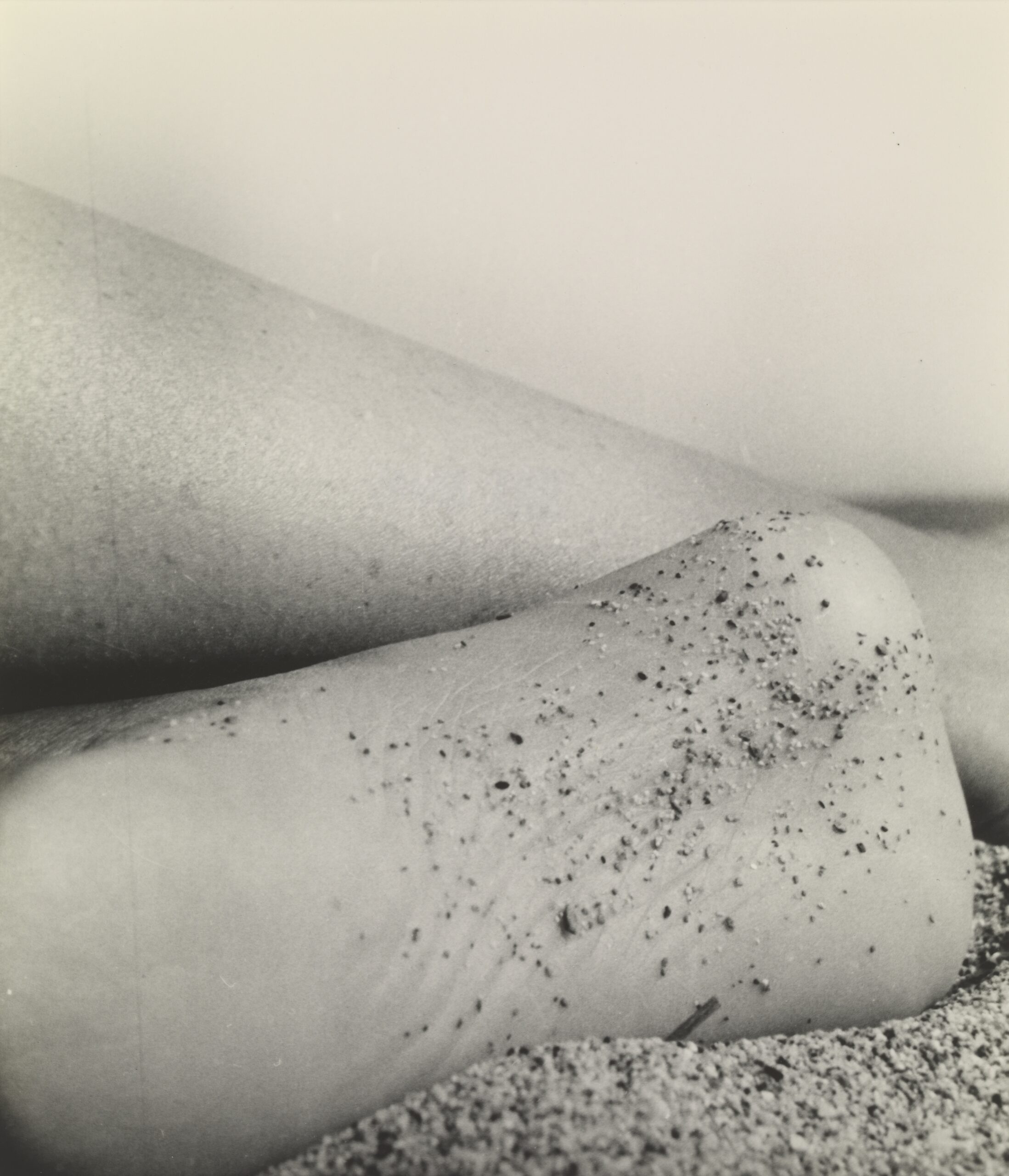 Bill Brandt, Nude, Taxo d’Aval, France 1957, later print. Tate. Accepted by HM Government in Lieu of Inheritance Tax and allocated to Tate 2019. © The Estate of Bill Brandt