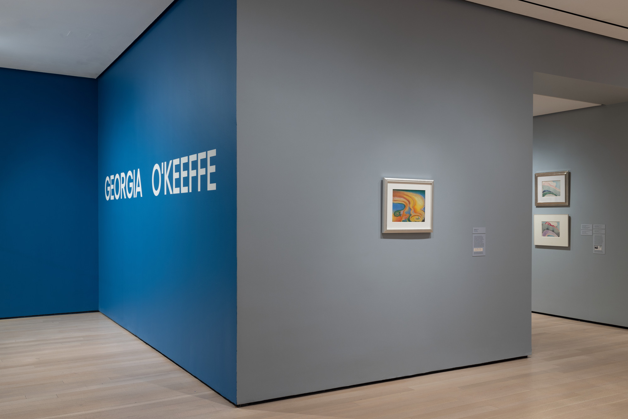 Installation view of the exhibition Georgia O’Keeffe To See Takes Time, 2023