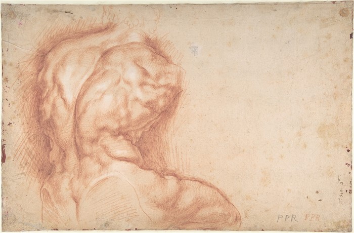 Studio del Torso Belvedere (verso) Peter Paul Rubens, gesso rosso, 39,5 x 26 cm, 1601 c., Purchase, 2001 Benefit Fund, 2002, The Metropolitan Museum of Art, New York, USA